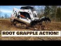 Clearing Land with a Grapple & Bobcat T650 for future food plot for deer