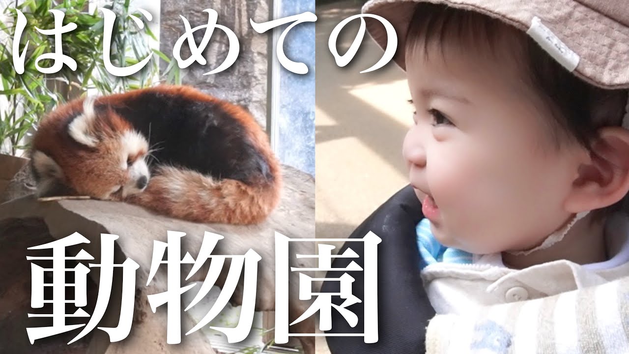 【1歳0ヶ月】はじめての動物園♪思った以上に楽しむ娘にびっくり！！【育児/お出かけ/vlog】