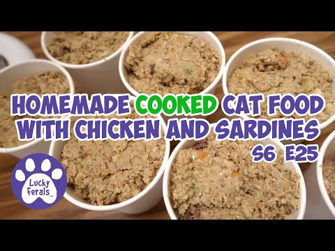 Homemade Cat Food