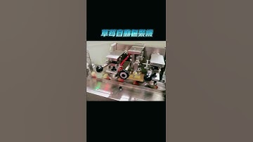 Multi Function Fruits Protective Packaging Machine Automatic Strawberry Packing Machine | SAYOK