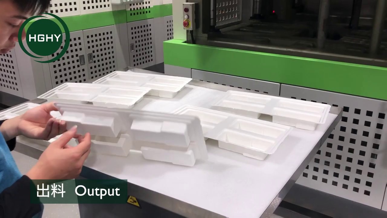 HGHY auto thermoforming high quality IP machine pulp thermal forming machine