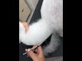 Discovering Visually Satisfying Work Moments Daily