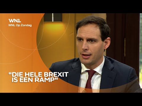 Minister Hoekstra: Brexit is goed nieuws voor Moskou en Beijing, maar ramp voor Nederland