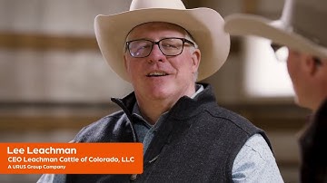 Elevate Your Cow Herd with Genetic Testing | Zoetis Livestock Genetics