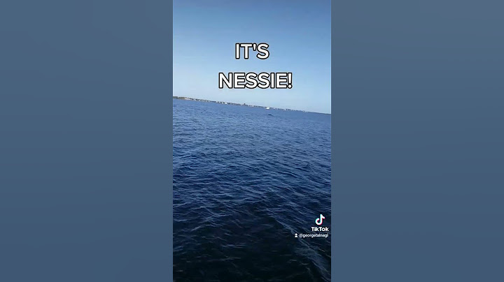 IT'S NESSIE!