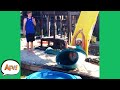 Slip, Slide and CRUNCH! 😅 | Funnies and Fails | AFV 2020