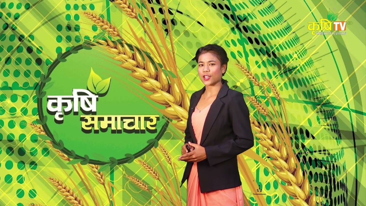 Новости сельского хозяйства со всей страны || Krishi Television HD