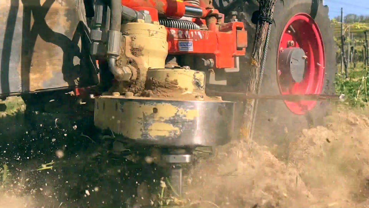 Weingut Briem Unterstockbearbeitung