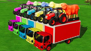 TRANSPORTING FIVE COLOR CHEVROLET POLICE, CHEVROLET, AMBULANCE, TRACTOR! Farming Simulator 22 screenshot 5