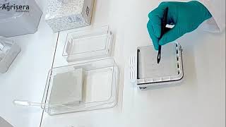 How to get sharper bands in Western blot