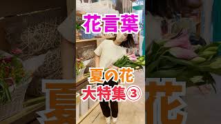 ユリの花言葉！#Shorts