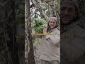 La repubblica delle banane #shorts