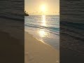 Satisfying Ocean Waves 🌊 Relaxing Beach View |Calming Sea Shorts #shorts #trending #viral #ytshorts