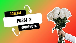 Розы ч.2 флористика для начинающих #флорист #флористикадляначинающих #цветы #обучениефлористике