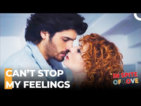 I'll Never Give Up on You - In Spite of Love