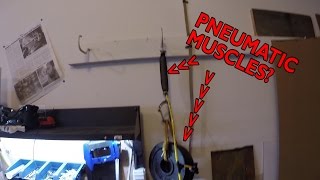 Celebrity Pneumatic Muscles for a Nanosuit from Crysis? Profile
