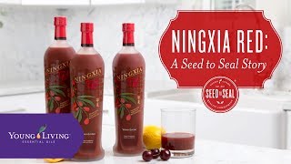 Ningxia Red: A Seed to Seal Story