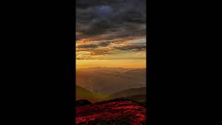This minute is for you | 1 Minute of Calm | Sleep Drift