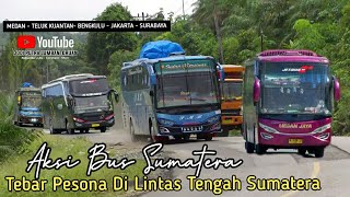 Hunting Bus Lintas Tengah || Pesona Bus Sumatera Penuh Sensasi