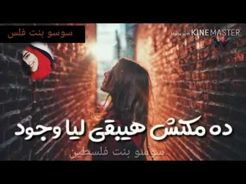 يا حبيبي لو انت مش موجود تامر حسني حالات واتس