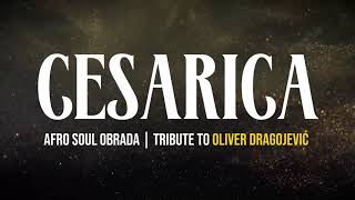Download Lagu Cesarica - Afro Soul Obrada | Tribute to Oliver Dragojević MP3