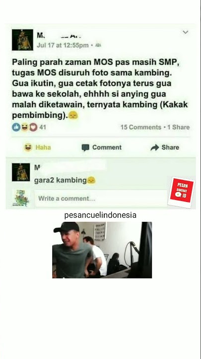 StoryWa Foto sama KAMBING - Uh what the f*ck ukulele meme