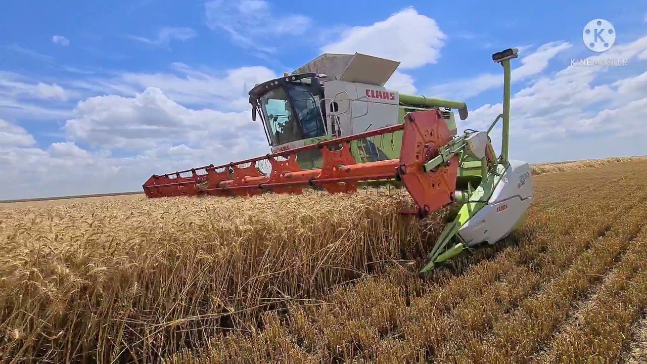 AGRO TECH MICHAŁ ADAMEK Podsumowanie 