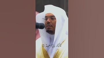 سورة فصلت الشيخ د.ياسر الدوسري #المصحف #سورة #quran #yasseraldossary