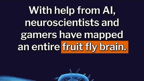 Scientific First: Fruit Fly Brain Mapped Opening Up Possibilities for Humans