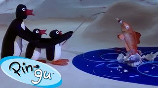 Pingu And The Big Fish 🐧 | Pingu - Official Channel | Cartoons For Kids