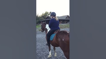 Counting Strides JJ Tate exercise