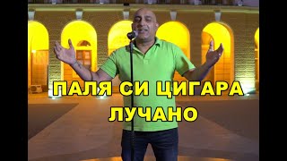 картинка: ПАЛЯ СИ ЦИГАРА ЛУЧАНО PALYA SI TSIGARA LUCHANO 2022