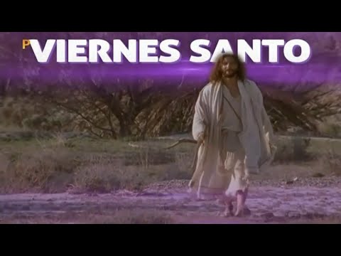 + Programación Este