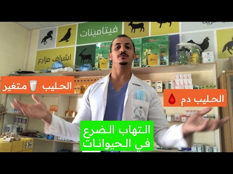 التهاب الضرع في الحيوانات 2 الحليب متغير أو به دم