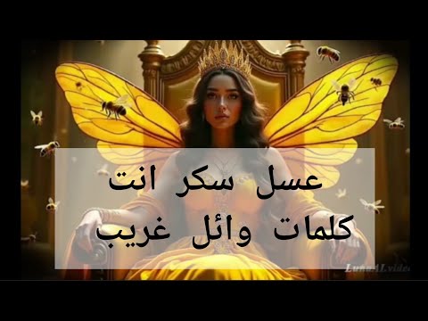 اغنية عسل سكر انت كلمات وائل غريب