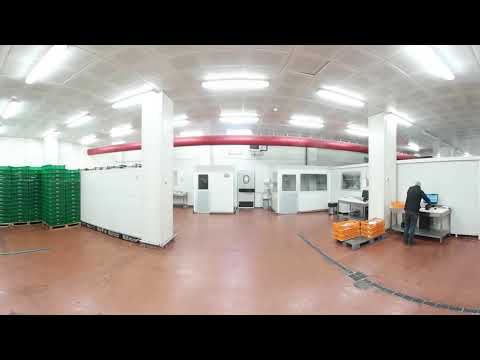 პროცესში