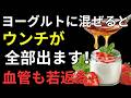 【医師が解説】ヨーグルトは食べ方で効果が変わる！腸内環境を整える最強の食べ方と3つの組み合わせ｜健康長寿