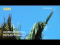 LATEST UFO VIDEO MASS SIGHTING Fresno Kevin Williams GoNewsNOW MAY 2012 Double UFOs KSEE TV NBC