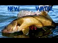 New water  a south dakota walleye fishing film