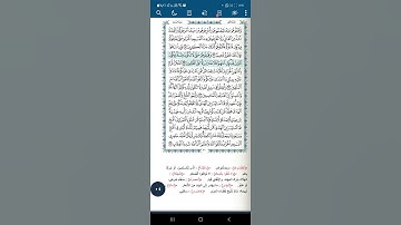 سورة البقرة اية (١٩٣)