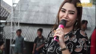 Mabok tekong -Anik arnika (New arnika)