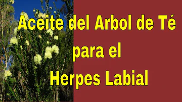 ¿Es bueno el aceite de árbol de té para el herpes labial?