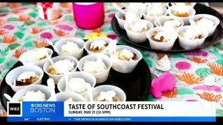To Do List: SouthCoast Festival, Paws Project Reunion, Revere Beach Kite Festival