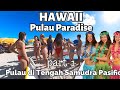 KEHIDUPAN DI PULAU HAWAII - Pulau Surga Dunia di Samudra Pasifik #Travelvlogpart1