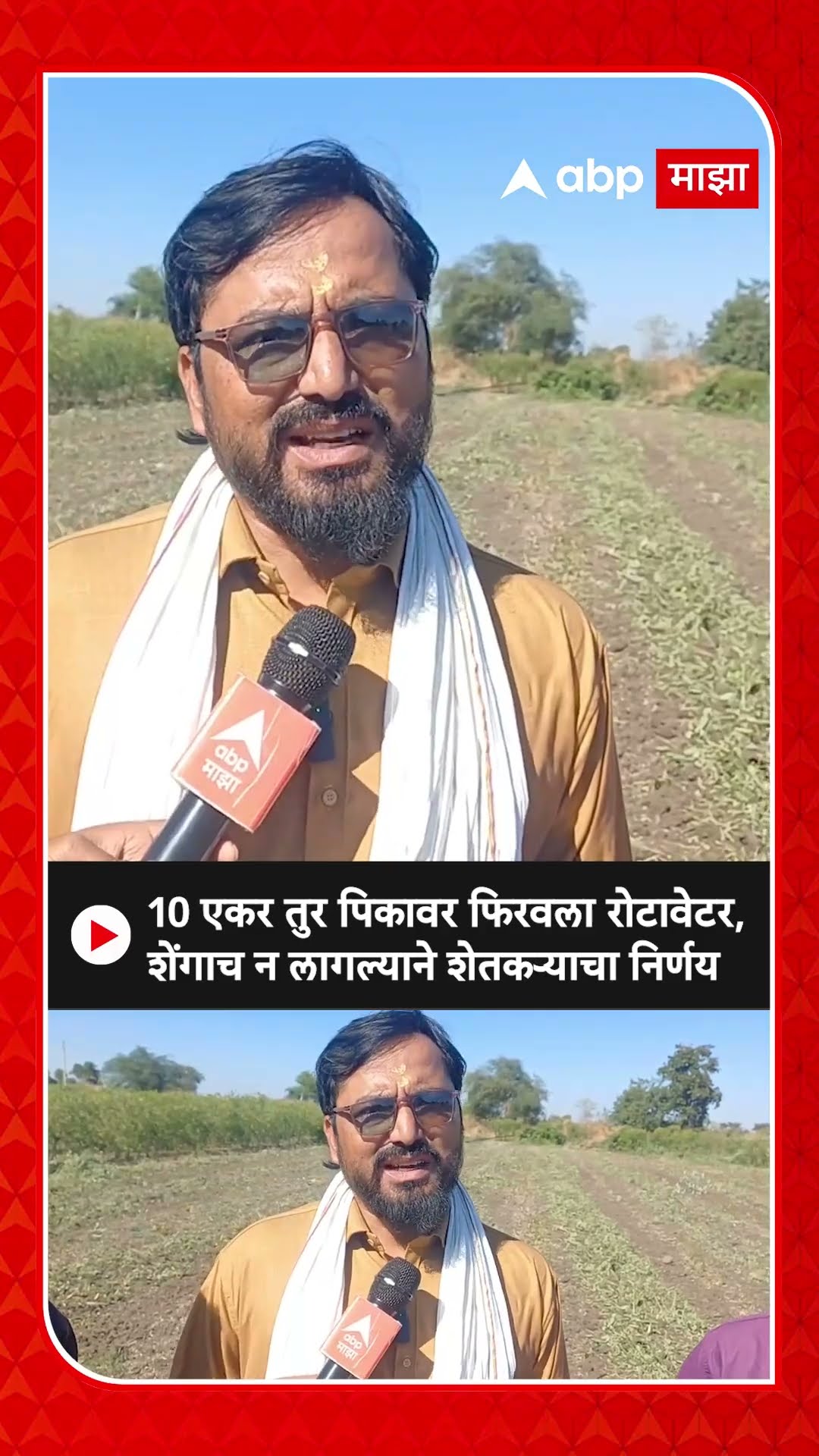 Hingoli toor Farmer : 10 एकर पिकावर फिरवला रोटावेटर,तुरीला शेंगाच न लागल्याने शेतकऱ्याचा निर्णय