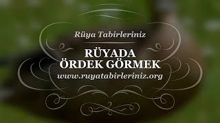 Rüyada Ördek Görmek - Rüya Yorumu, Rüya Tabirleri