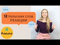 Польский для начинающих – 12 новых польских слов – РЕАКЦИИ