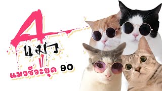 4 แมวส์ แมวชีวะยุค 90