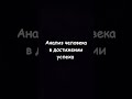 Анализ человека