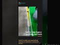 Safety Line Epoxy marking Services